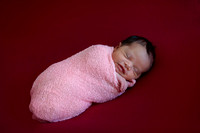 Jacinda's Newborn Mini